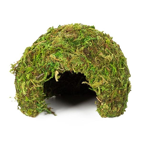Repti Zoo Natural Moss Dome Small 1 Repti Zoo Natural Moss Dome Small