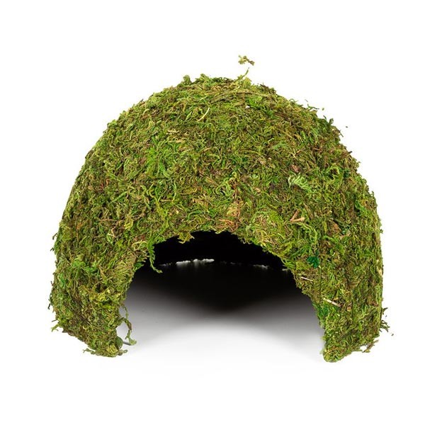 Repti Zoo Natural Moss Dome Large 1 Repti Zoo Natural Moss Dome Large