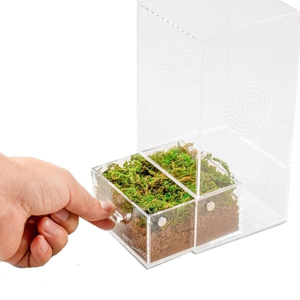 Repti Zoo Magnetic Acrylic Enclosure 10x10x20cm 2 Repti Zoo Magnetic Acrylic Enclosure 10x10x20cm - Image 2