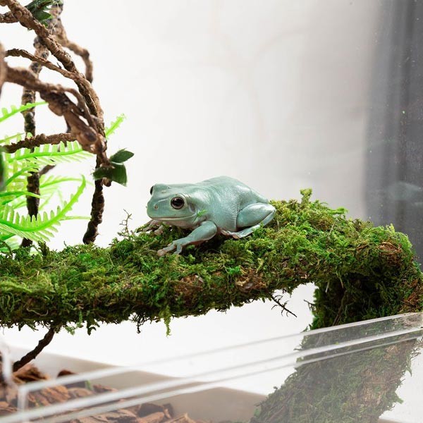 Repti Zoo Magnetic Acrylic Enclosure 30x30x45cm 2 Repti Zoo Magnetic Acrylic Enclosure 30x30x45cm - Image 2