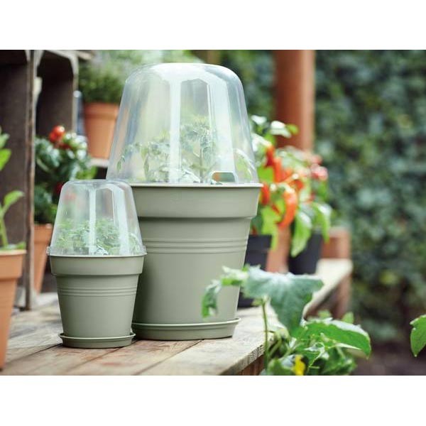 Elho Green Basics Growpot Stone Green 17cm 4 Elho Green Basics Growpot Stone Green 17cm - Image 4