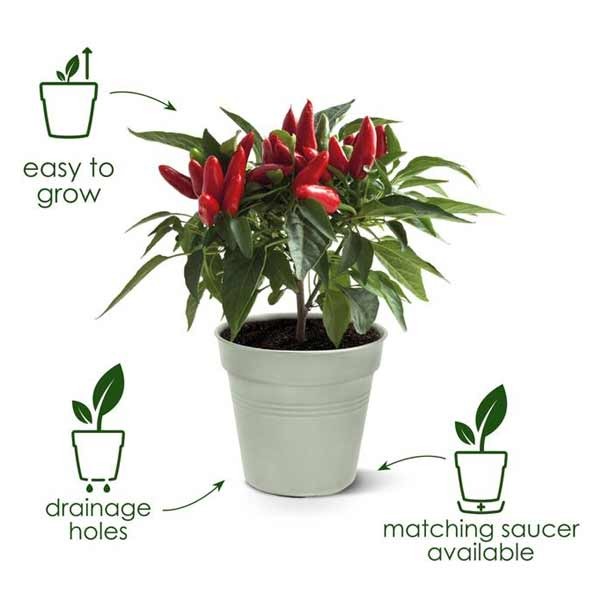 Elho Green Basics Growpot Stone Green 40cm 5 Elho Green Basics Growpot Stone Green 40cm - Image 5