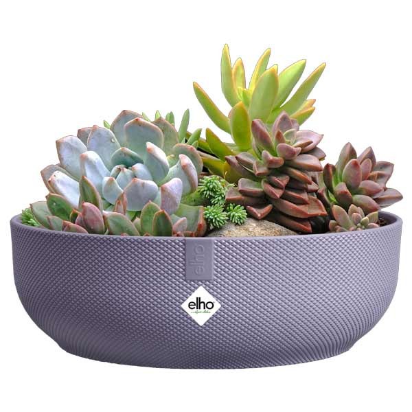 Elho Jazz Bowl Lavender Lilac 28cm Flower Pot 3 Elho Jazz Bowl Lavender Lilac 28cm Flower Pot - Image 3