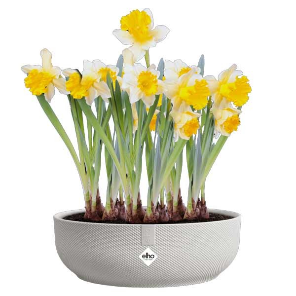 Elho Jazz Bowl Silky White 28cm Flower Pot 2 Elho Jazz Bowl Silky White 28cm Flower Pot - Image 2