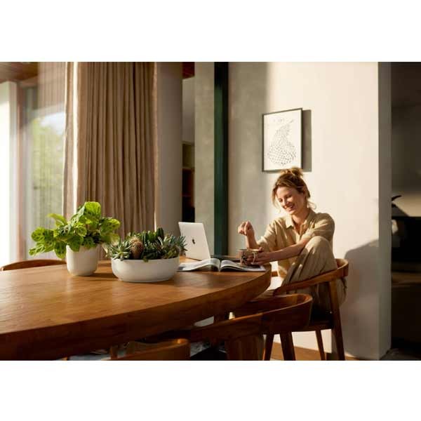 Elho Jazz Bowl Silky White 28cm Flower Pot 4 Elho Jazz Bowl Silky White 28cm Flower Pot - Image 4
