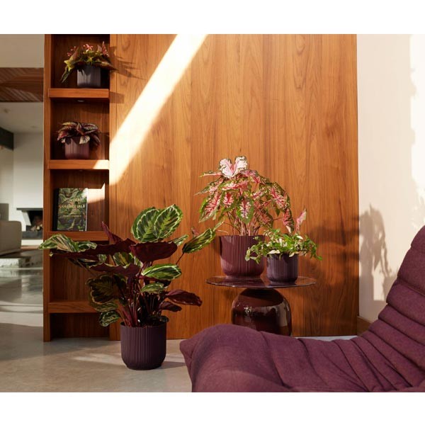 Elho The Winery Collection Bordeaux Red 16cm Flower Pot 3 Elho The Winery Collection Bordeaux Red 16cm Flower Pot - Image 3