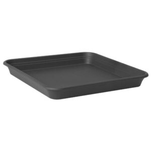 Florus Universal Saucer Quadro Anthracite 31cm