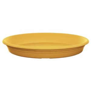 Florus Universal Saucer Round Mustard Yellow 25cm
