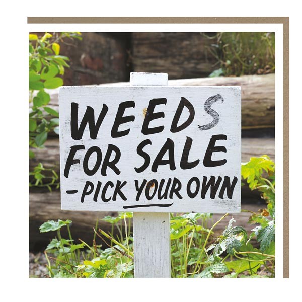 The Botanical Collection "Weeds for Sale" Card 1 The Botanical Collection "Weeds for Sale" Card