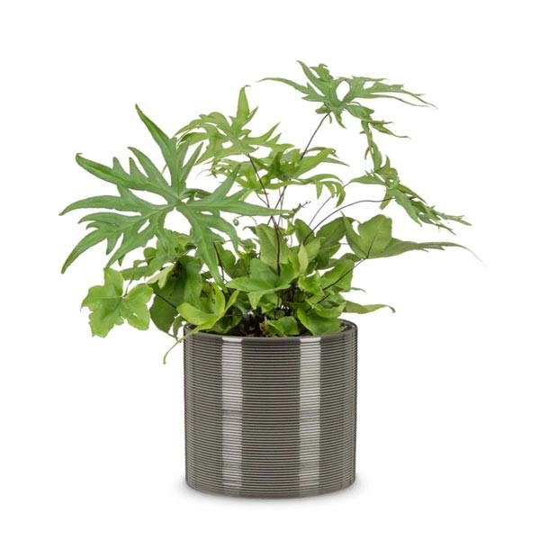 Scheurich Flower Pot 828 Glass Grey 19cm 2 Scheurich Flower Pot 828 Glass Grey 19cm - Image 2