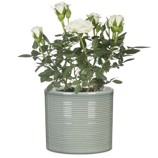 Scheurich Flower Pot 828 Sage Green 12cm 2 Scheurich Flower Pot 828 Sage Green 12cm - Image 2
