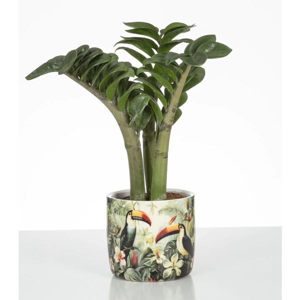 Scheurich Solido Flower Pot 900 Tucano 13cm 2 Scheurich Solido Flower Pot 900 Tucano 13cm - Image 2