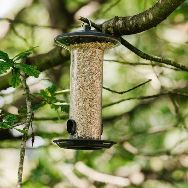 Peckish Funnel Seed Feeder 2 Peckish Funnel Seed Feeder - Image 2