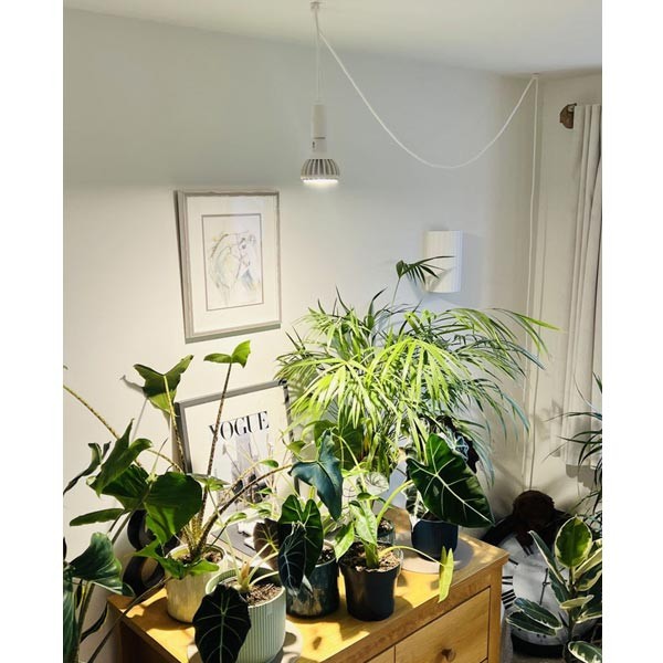Grow Gang Pianta Grow Light LED Bulb Black 3 Grow Gang Pianta Grow Light LED Bulb Black - Image 3