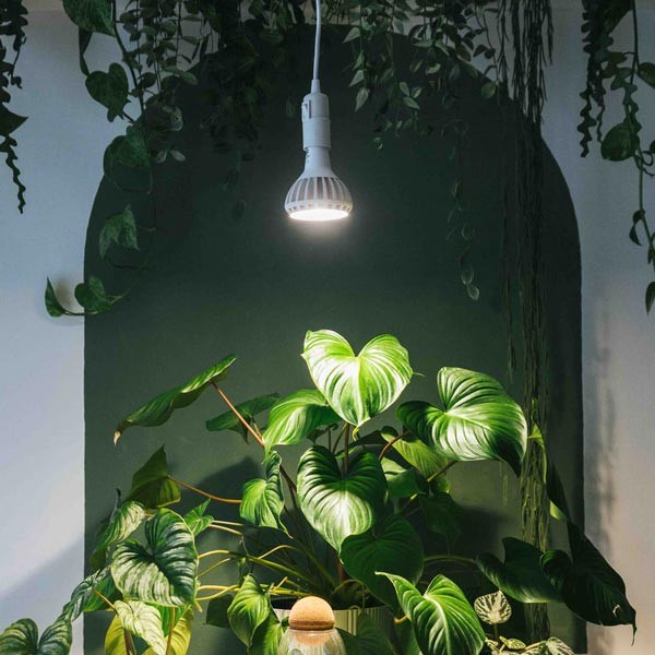 Grow Gang Enna Plug-in Ceiling Pendant Black 2 Grow Gang Enna Plug-in Ceiling Pendant Black - Image 2