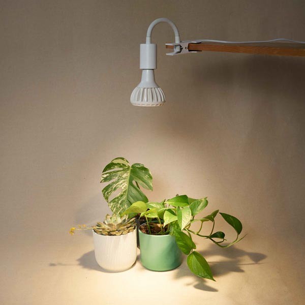 Grow Gang Stelo Gooseneck Clip-On Bulb Holder White 5 Grow Gang Stelo Gooseneck Clip-On Bulb Holder White - Image 5