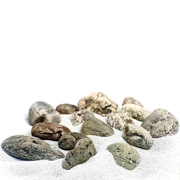 Wio Elderly Boulder Standard Box 10kg 2 Wio Elderly Boulder Standard Box 10kg - Image 2