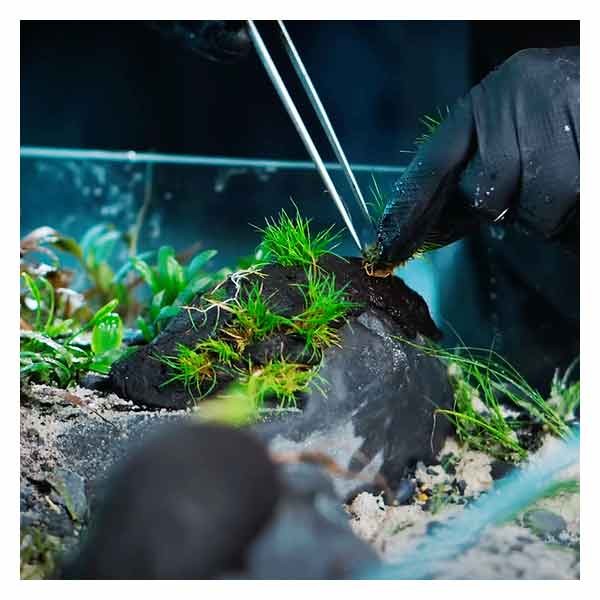 Wio Ball Sticky Soil 900g 3 Wio Ball Sticky Soil 900g - Image 3