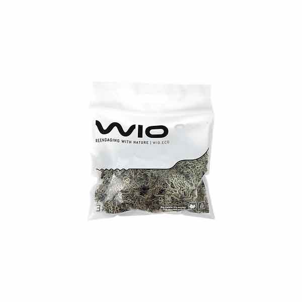 Wio Bits Lichen 1 Wio Bits Lichen