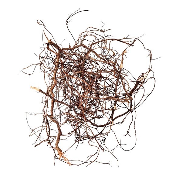Wio Mini Root 80g 2 Wio Mini Root 80g - Image 2