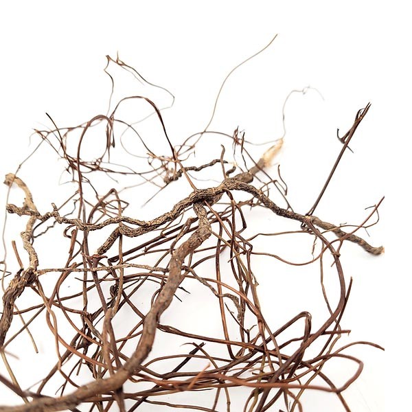 Wio Mini Root 80g 3 Wio Mini Root 80g - Image 3