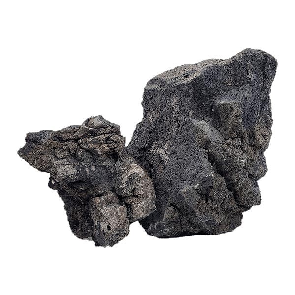 Wio Darwin Black Lava Stone Standard Box 6kg 1 Wio Darwin Black Lava Stone Standard Box 6kg