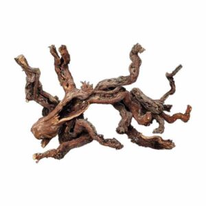 Wio Centurion Wood Small 10-20cm
