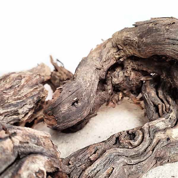 Wio Centurion Wood Small 10-20cm 3 Wio Centurion Wood Small 10-20cm - Image 3