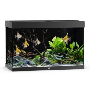Juwel Rio 290 Black LED Aquarium