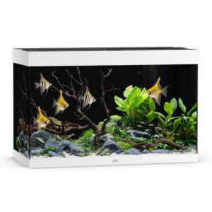 Juwel Rio 290 White LED Aquarium