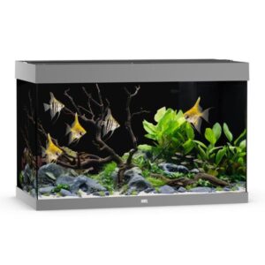Juwel Rio 290 Grey LED Aquarium