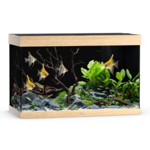 Juwel Rio 290 Lightwood LED Aquarium