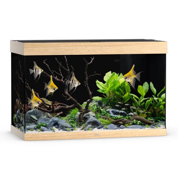 Juwel Rio 290 Lightwood LED Aquarium 1 Juwel Rio 290 Lightwood LED Aquarium
