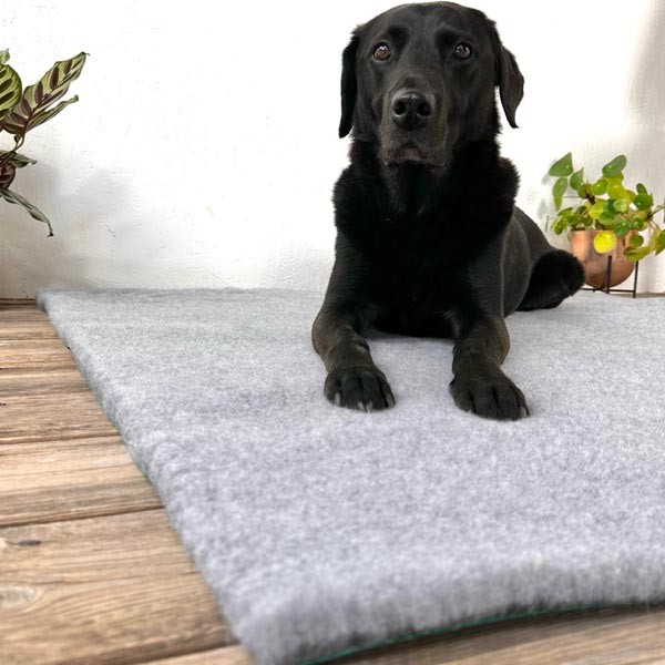 Soul Pet Traditional Grey Vet Bedding 100x75cm 2 Soul Pet Traditional Grey Vet Bedding 100x75cm - Image 2