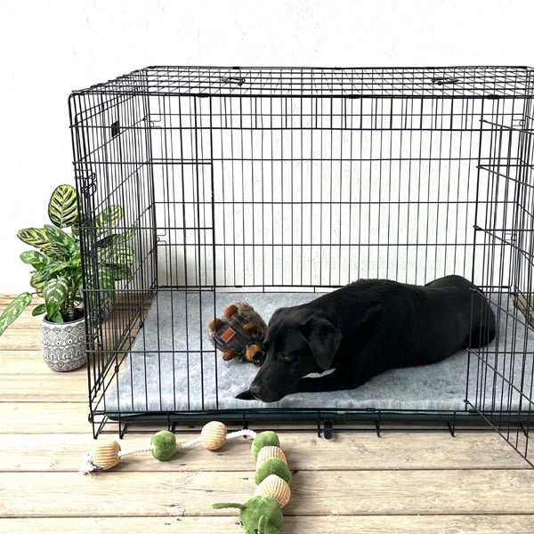 Soul Pet Traditional Grey Vet Bedding 51x75cm 3 Soul Pet Traditional Grey Vet Bedding 51x75cm - Image 3