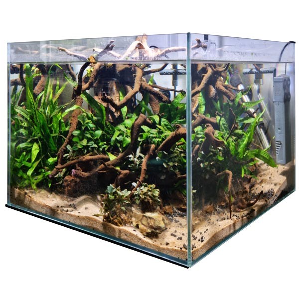 Aqua One OptiScape Glass Aquarium 48 Litres 1 Aqua One OptiScape Glass Aquarium 48 Litres