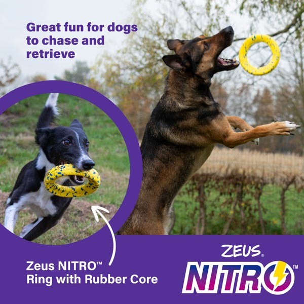 Zeus & Zoe Nitro Weighted Ring 16cm 2 Zeus & Zoe Nitro Weighted Ring 16cm - Image 2