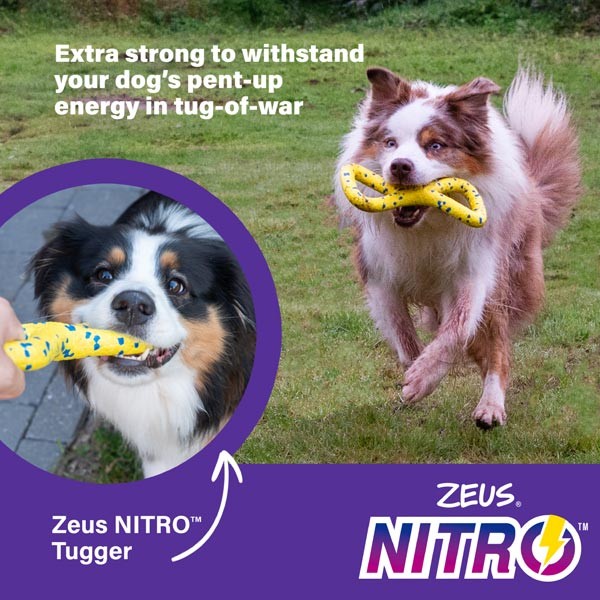 Zeus & Zoe Nitro Tugger 22cm 2 Zeus & Zoe Nitro Tugger 22cm - Image 2