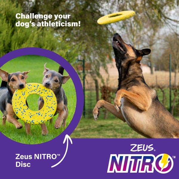 Zeus & Zoe Nitro Flying Disc 24cm 2 Zeus & Zoe Nitro Flying Disc 24cm - Image 2