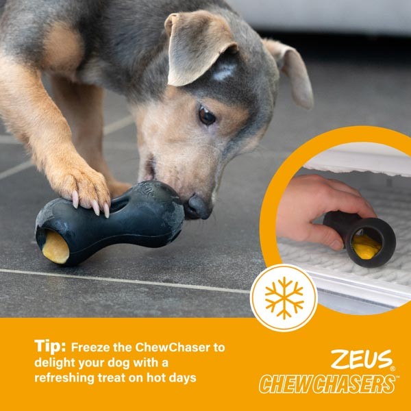 Zeus ChewChasers Treat Peanut Small Dog Toy 2 Zeus ChewChasers Treat Peanut Small Dog Toy - Image 2