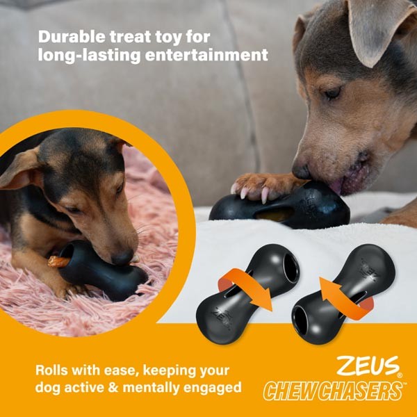 Zeus ChewChasers Treat Peanut Small Dog Toy 3 Zeus ChewChasers Treat Peanut Small Dog Toy - Image 3