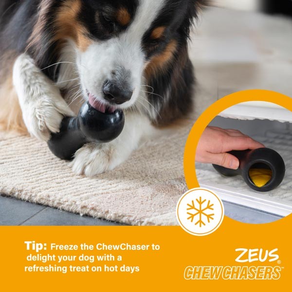 Zeus ChewChasers Treat Peanut Large Dog Toy 2 Zeus ChewChasers Treat Peanut Large Dog Toy - Image 2