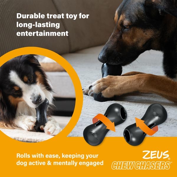 Zeus ChewChasers Treat Peanut Large Dog Toy 3 Zeus ChewChasers Treat Peanut Large Dog Toy - Image 3