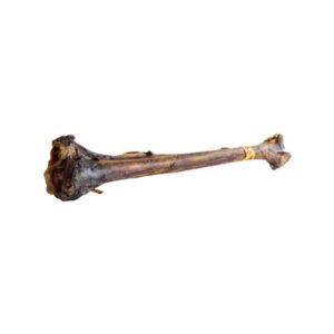 Healthy Paws Ostrich Caveman Bone