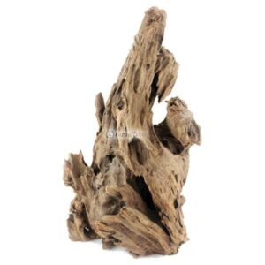 Natural Mangrove Root Medium (15-25cm)