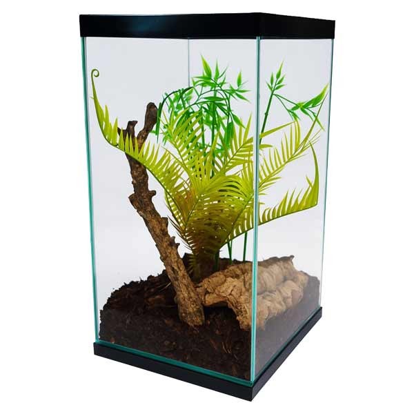 Clearseal Terrarium Tower 25 1 Clearseal Terrarium Tower 25