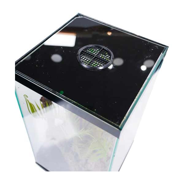 Clearseal Terrarium Tower 25 3 Clearseal Terrarium Tower 25 - Image 3