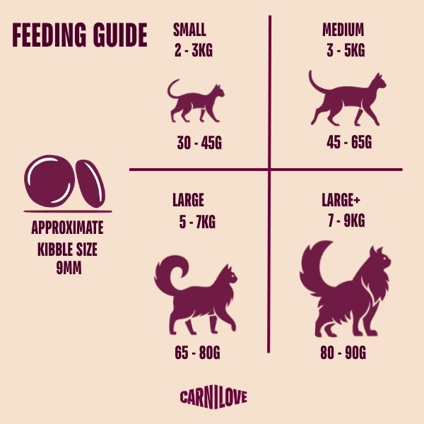 Carnilove True Fresh Turkey 2kg Dry Cat Food 3 Carnilove True Fresh Turkey 2kg Dry Cat Food - Image 3