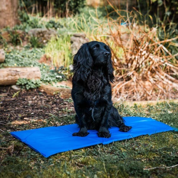 Danish Design Pet Cooling Matress Small 1 Danish Design Pet Cooling Matress Small