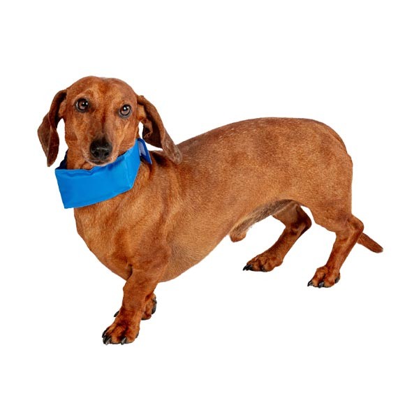 Danish Design Pet Cooling Collar Medium 1 Danish Design Pet Cooling Collar Medium